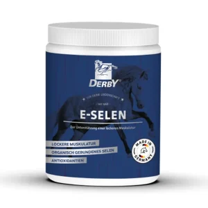 Derby E-Selen Begrenztes Angebot