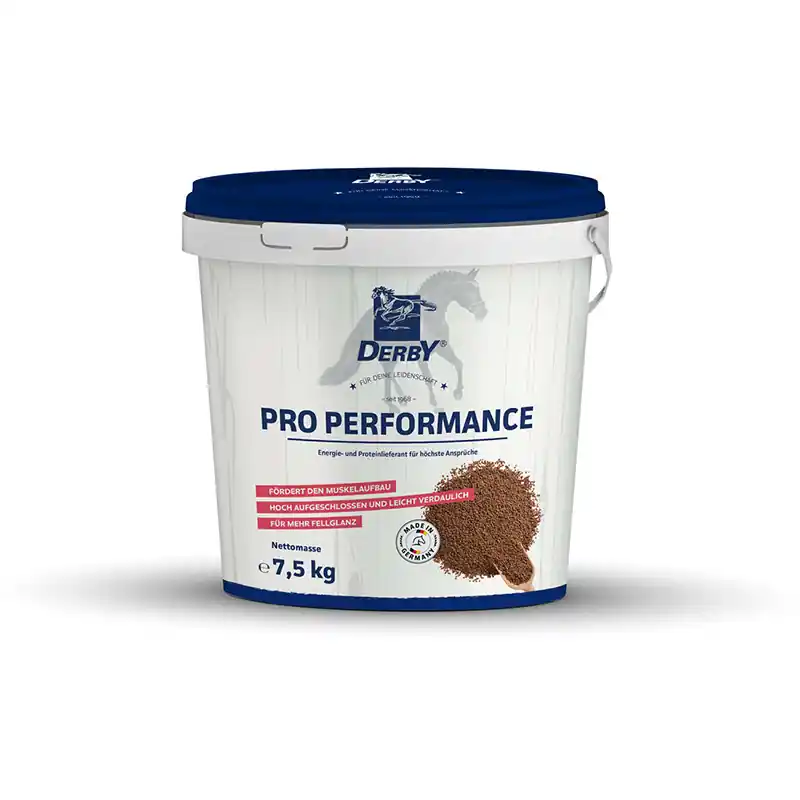 Derby Pro Performance Expressversand