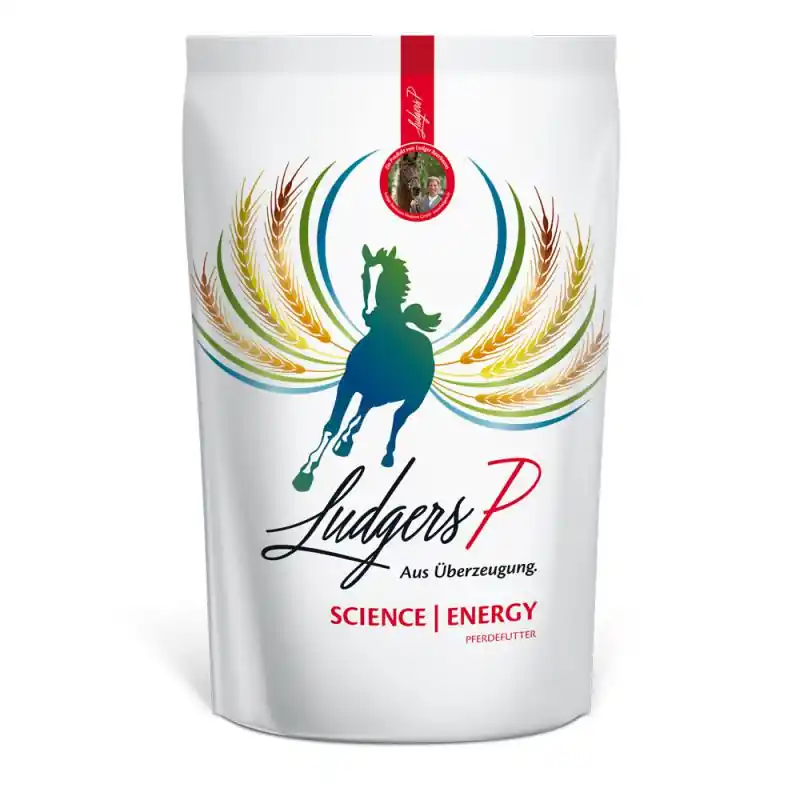 Ludgers P Science Energy Preis Gesenkt