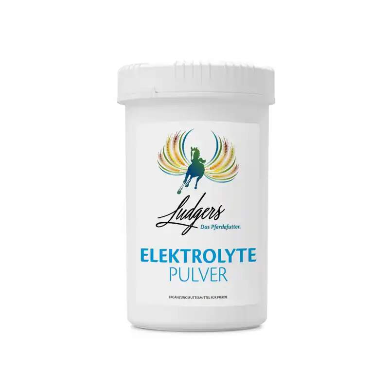 Zertifiziert Ludgers N Elektrolyte Pulver