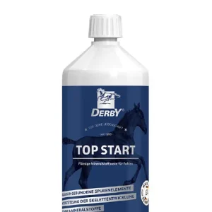 Derby Top Start Sichere Zahlung