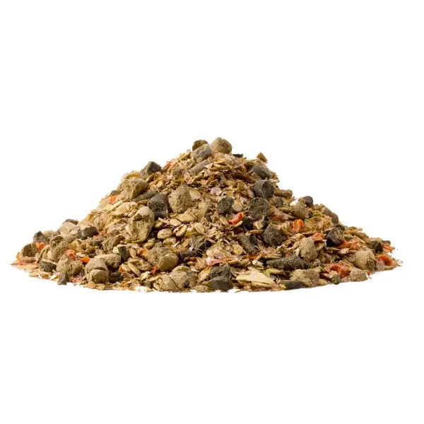 Bestpreis Nature's Best Senior Müsli