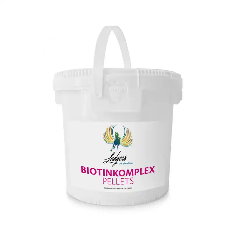 Ludgers N Biotinkomplex Pellets Nur Für Kurze Zeit