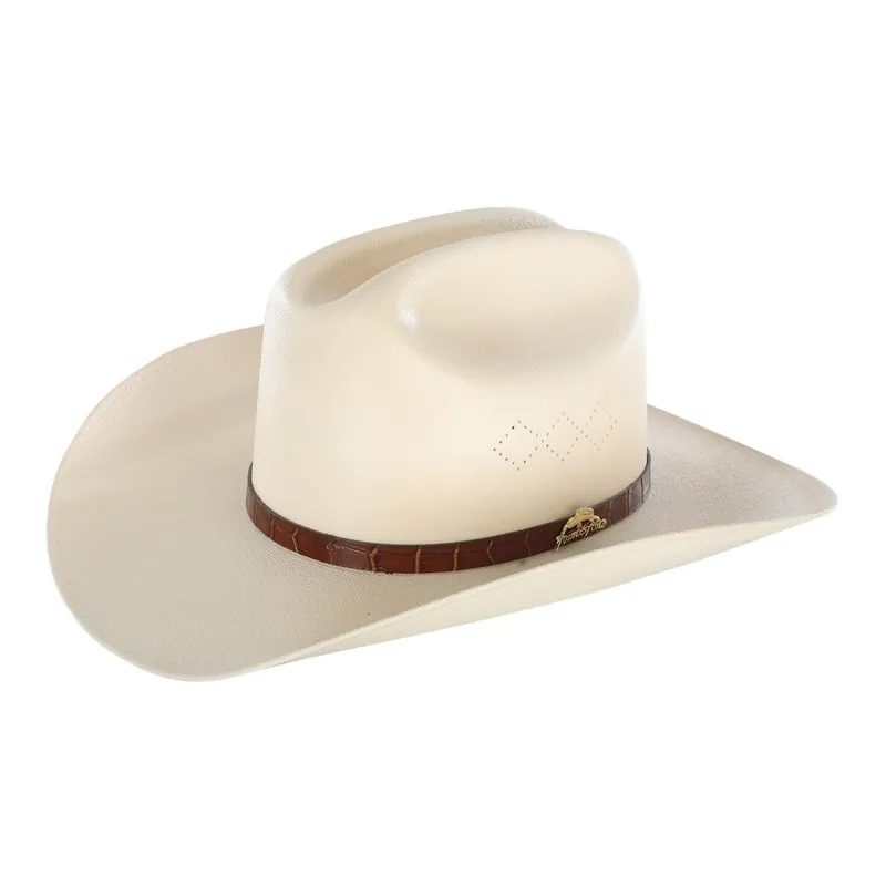 Tombstone Westernhut Luxury Plum steif gewachst - Natural Wochenendangebot