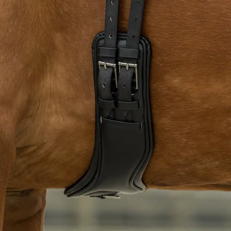 Anatomischer Sattelgurt Dressur, weich gefüttert, Leder Schnäppchen