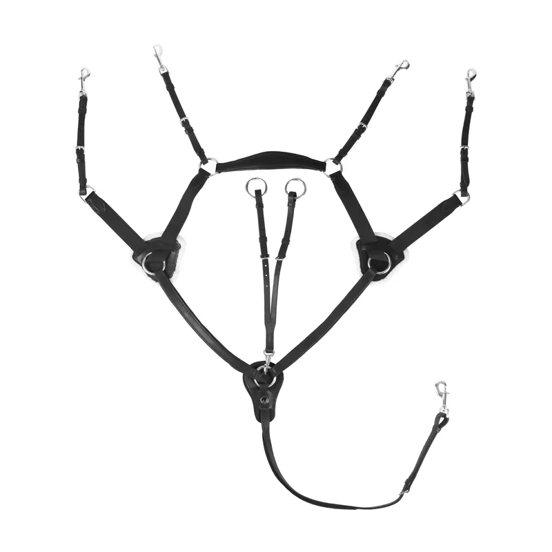 5-PUNKT-ELASTISCHES FAHRZEUG Sonderangebot