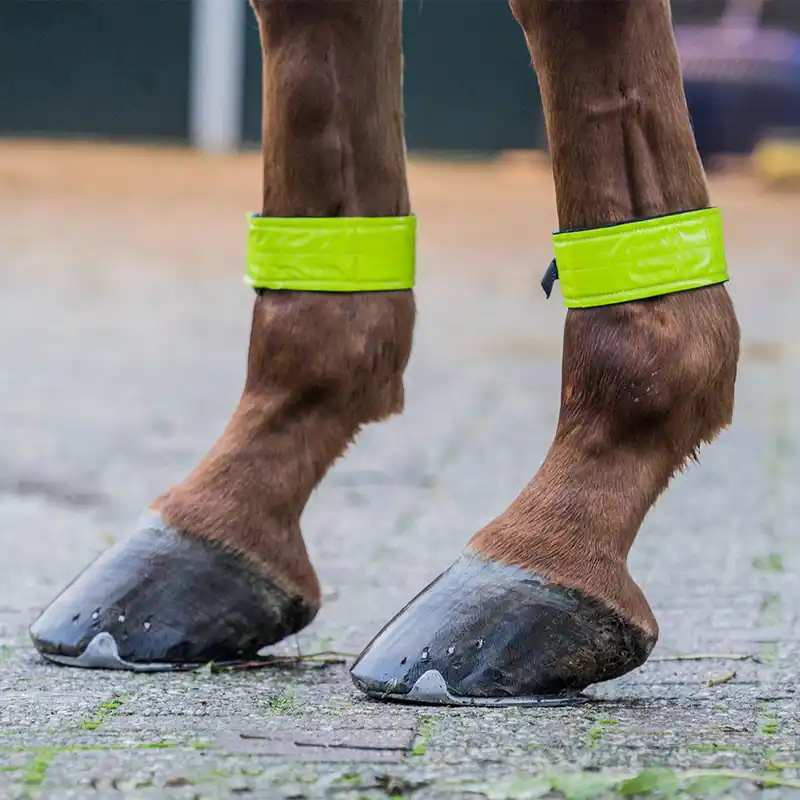 Beingurte reflektierend pro Paar Sale
