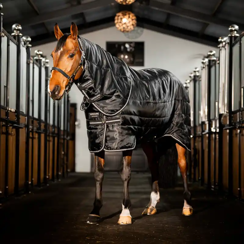 Aktuell Horseware Easy-Layer Stable Plus Med 200g - Black/Black/Silver, 125