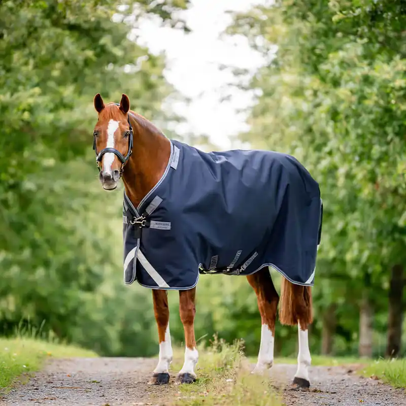Ausverkauf Horseware Rambo 1680D Turnout 100g - Navy/Thunderstorm Grey/Silver, 130