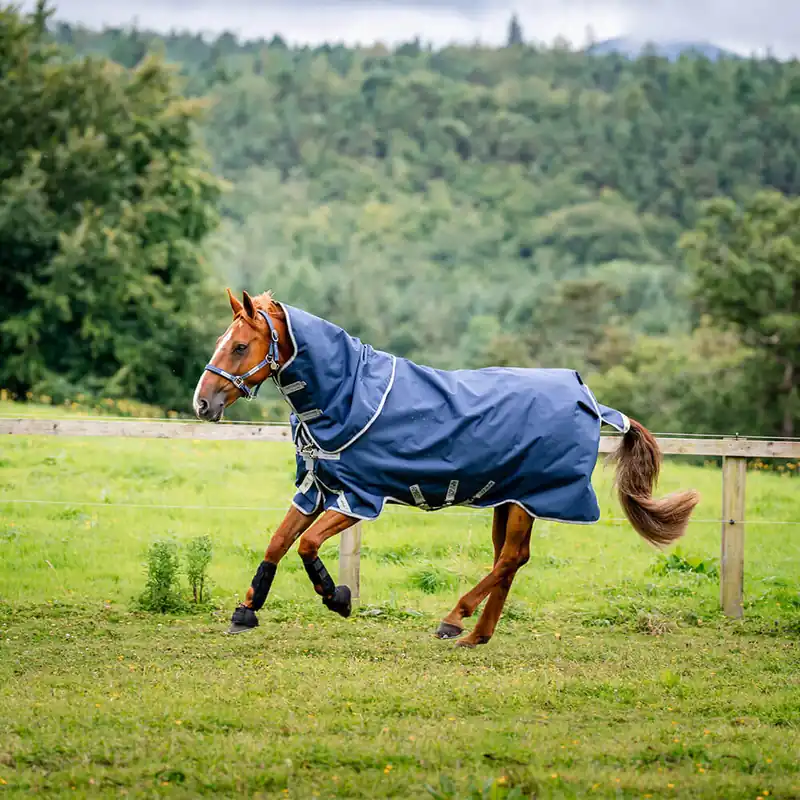 Wochenendangebot Horseware Amigo 1200D Plus Turnout 50g - Navy/Titanium Grey/Silver, 165