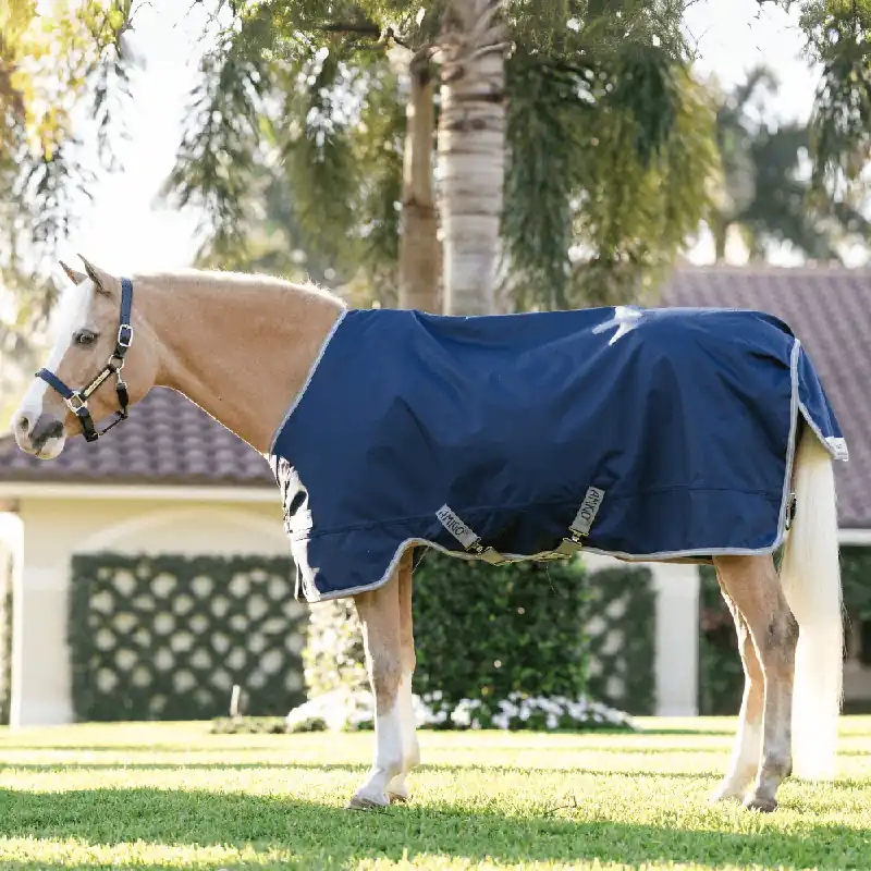 Wochenendangebot Horseware Amigo 1200D Pony Turnout 0g - Navy/Titanium Grey/Silver, 115