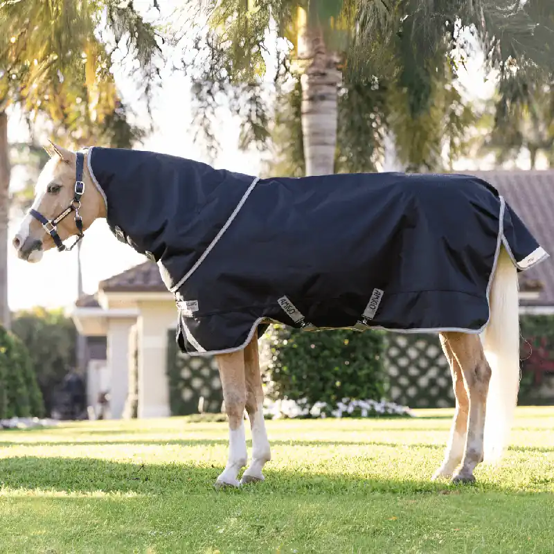 Versand Am Gleichen Tag Horseware Amigo 1200D Plus Pony Turnout 250g - Black/Titanium Grey/Silver, 90