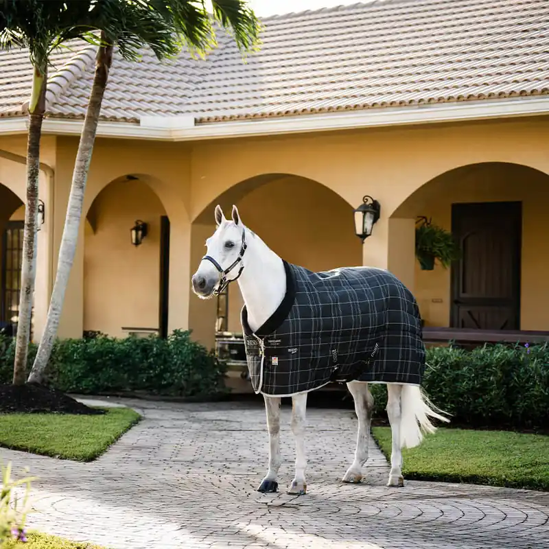 Wochenendangebot Horseware Rhino Stable 350g VL - Black/Grey/White Check/Gray, 140