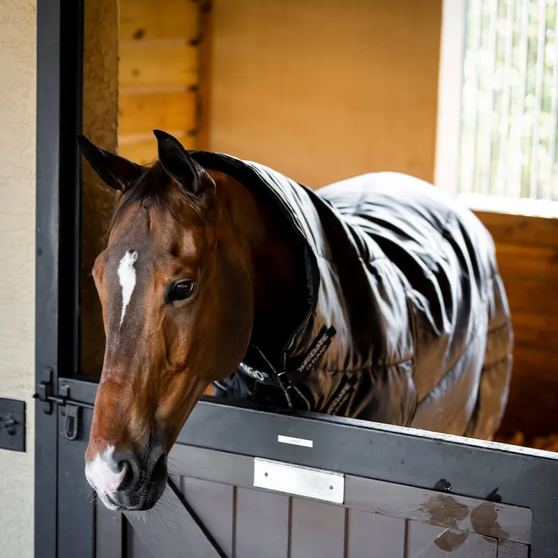 Aktuell Horseware Amigo Ripstop Insulator Plus Stable 350g - Navy/Titanium Grey, 140