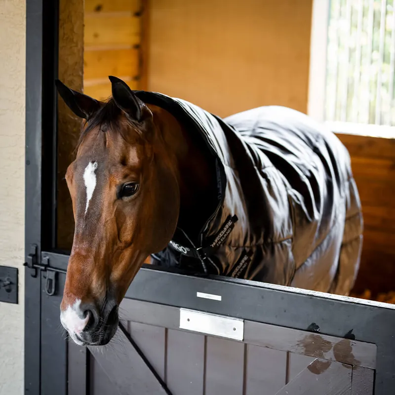 Aktuell Horseware Amigo Ripstop Insulator Stable Hood 200g - Navy/Titanium Grey, XL