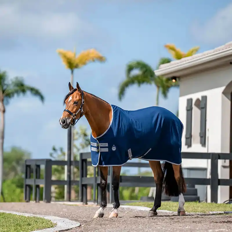 Aktuell Horseware Amigo Stable Sheet - Navy/Titanium Grey/Silver, 140