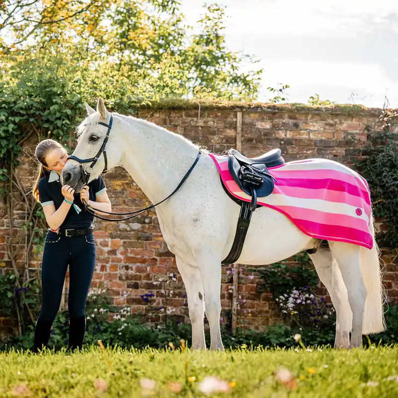 Abverkauf Horseware Newmarket Exercise Sheet - Witney Gold, L