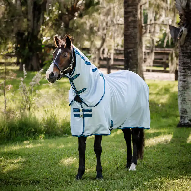 Abverkauf Horseware Amigo Bug Rug XL Plus - Dragonfly Print/Silver, Blue & Sage, 165