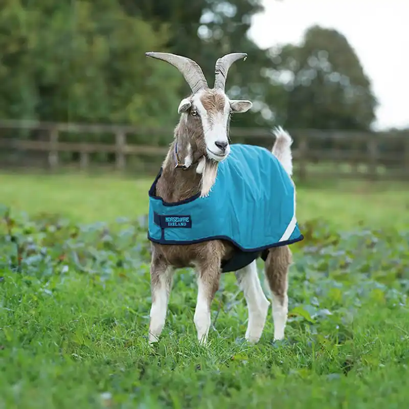 Wochenendangebot Manteau pour chèvres Horseware Goat Coat 100g - Witney Navy, XXL