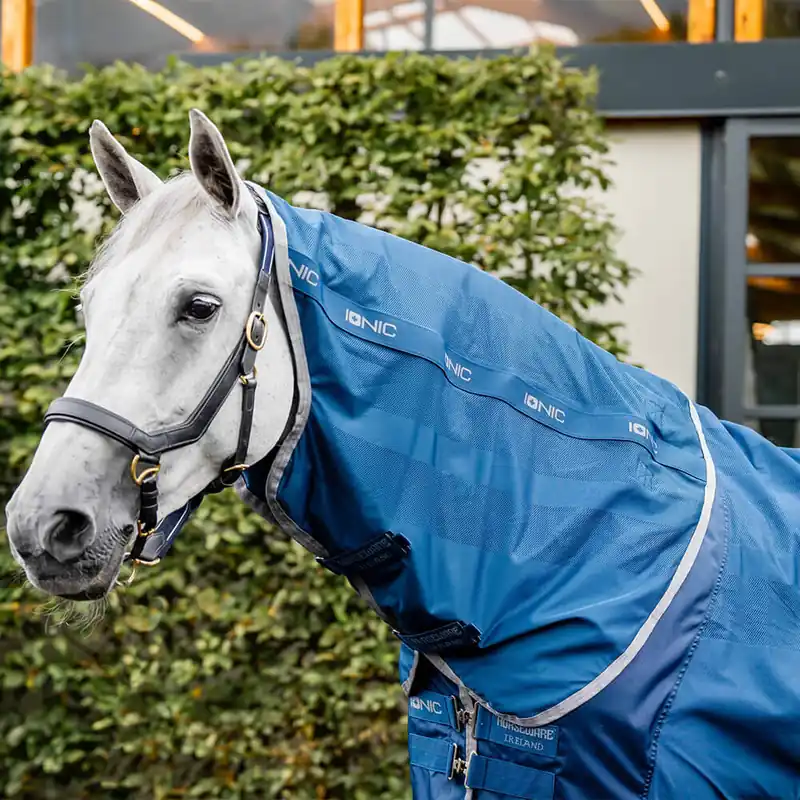 Abverkauf Horseware – Ionic Therapy Mesh Cooler Hood - Imperial Blue/Silver/Navy, XL