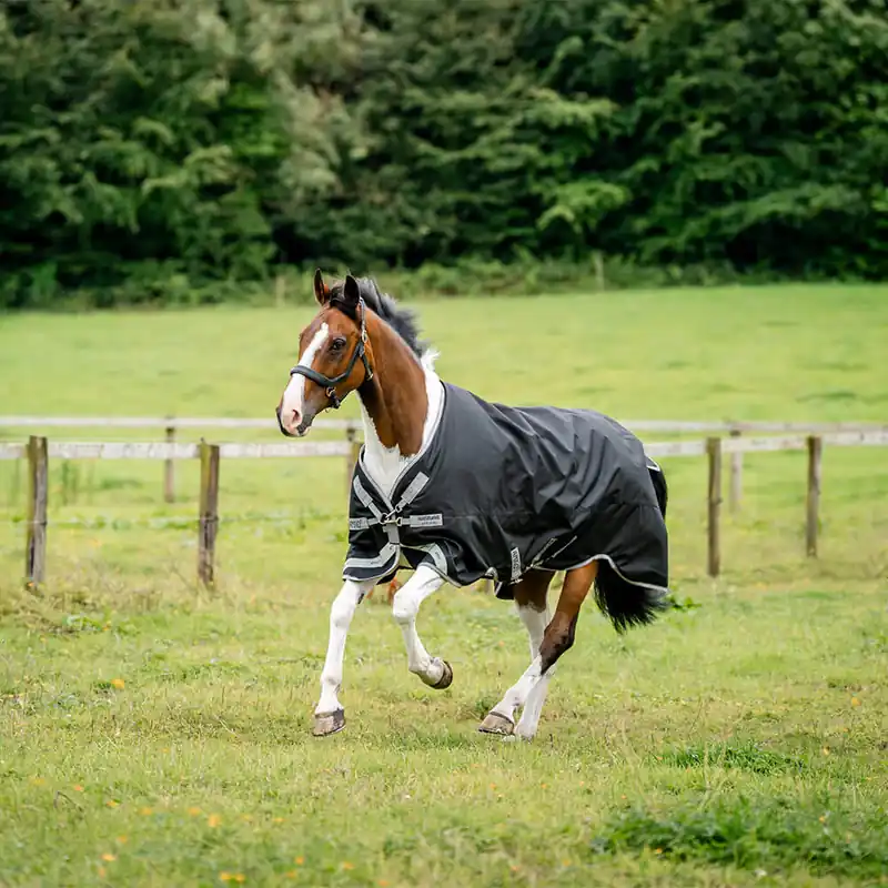 Zertifiziert Horseware Amigo 1200D Turnout 0g - Navy/Titanium Grey & Silver, 140