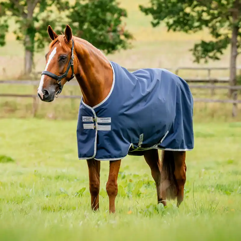 Ausverkauf Horseware Amigo Ripstop 900D Original 50g - Dynasty Green/Navy & Silver, 115