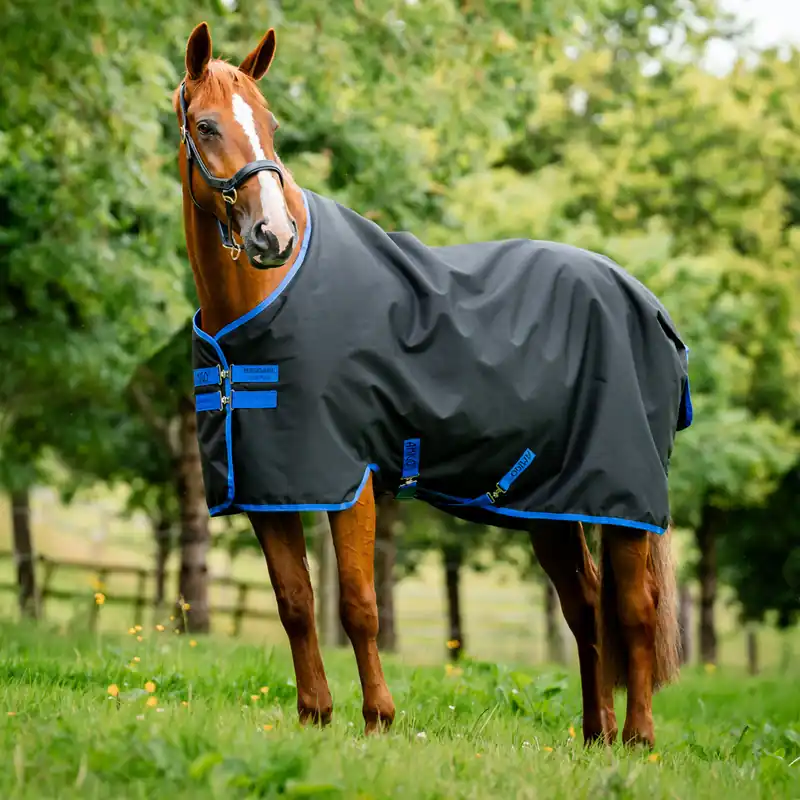 Ausverkauf Horseware Amigo Ripstop 900D Fleece Lined Original 50g - Black/Classic Blue, 140