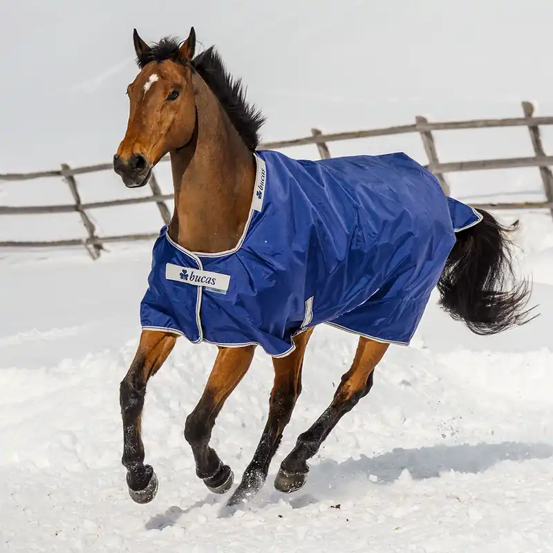 Sonderangebot Bucas Atlantic Turnout Big Neck 50g - Navy, 125