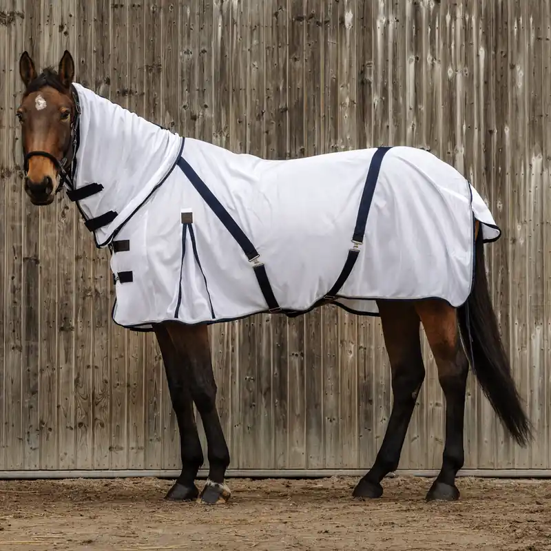 Saisonangebot Equitheme Mesh Combo Fliegendecke - weiß, 145