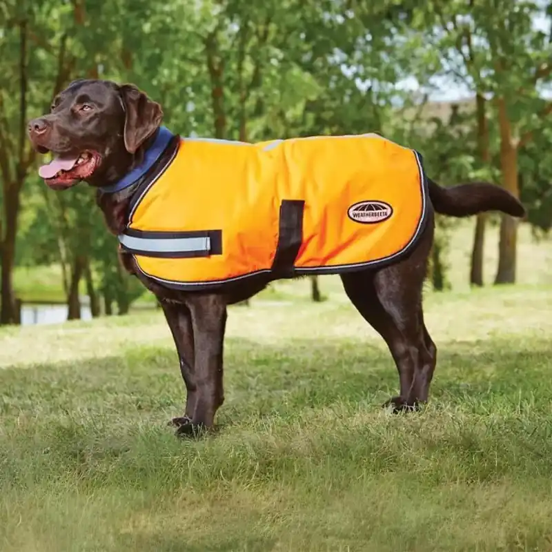 Wochenendangebot Weatherbeeta Comfitec Reflective Parka 300D Dog Coat - Yellow, 25