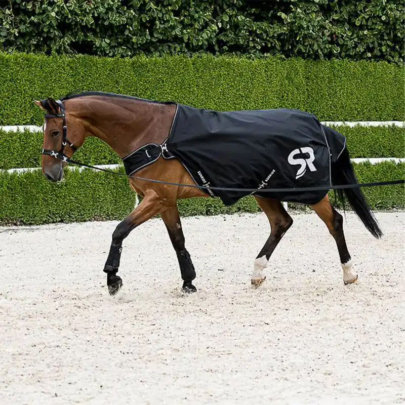 Sunride Führanlagendecke Cornwell (1200D) - schwarz, 125 Finale Aktion
