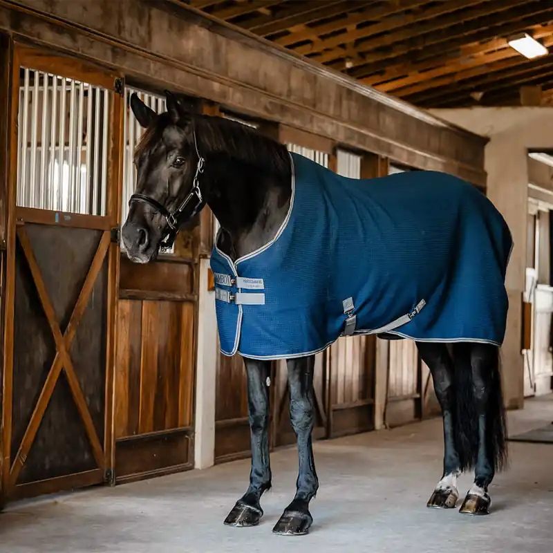 Angebot Horseware Rambo Techni Waffle Cooler - Dynasty Green/Navy & Silver, 165