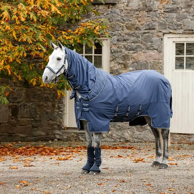 Wochenendangebot Horseware Show Ready Rug - Black/Black & Silver, 125