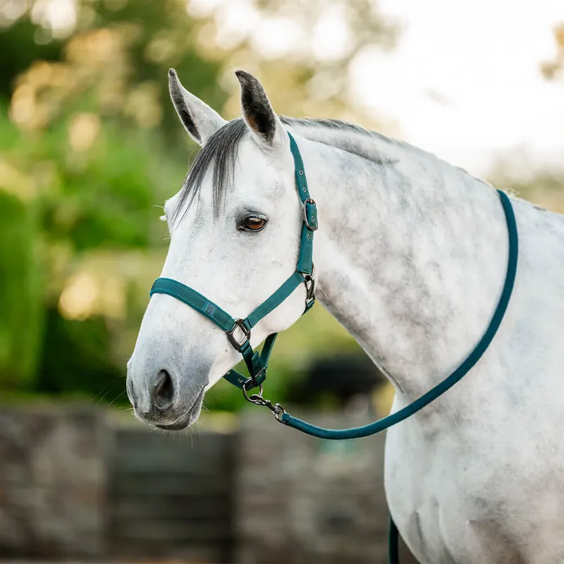 Wochenendangebot Horseware Headcollar & Leadrope - Dynasty Green , Warmblut