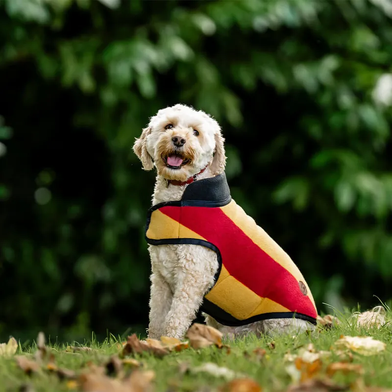Ausverkauf Horseware Newmarket Dog Fleece - Witney Dynasty, XL