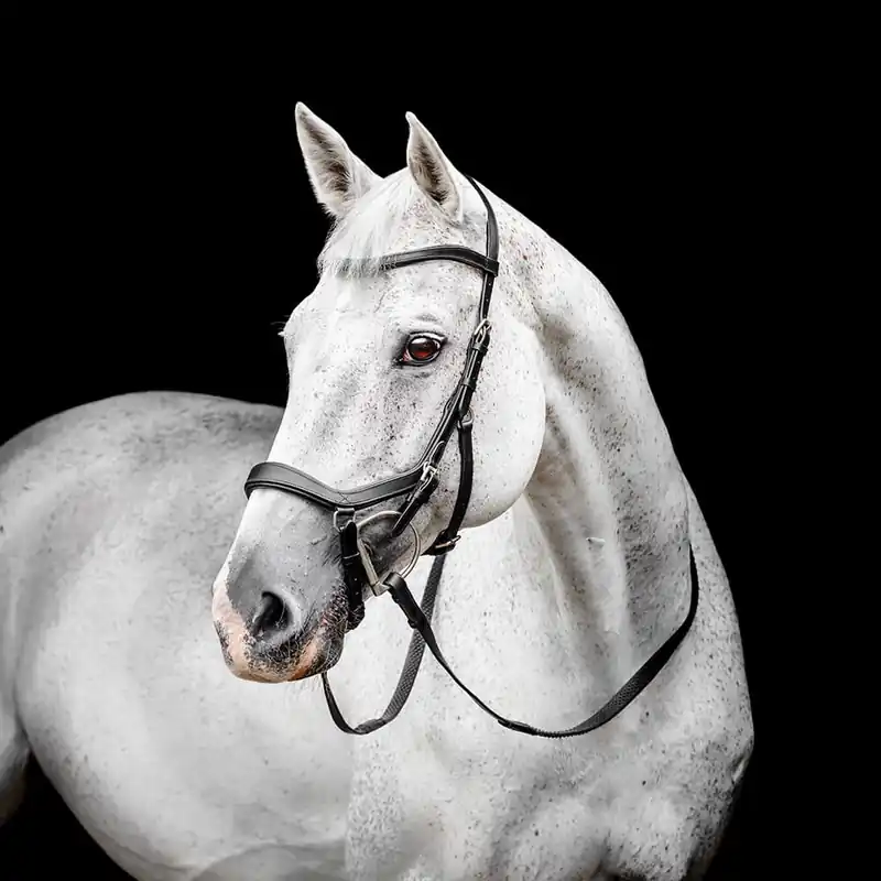 Abverkauf Horseware Micklem Competition Bridle - Black, Super Cob