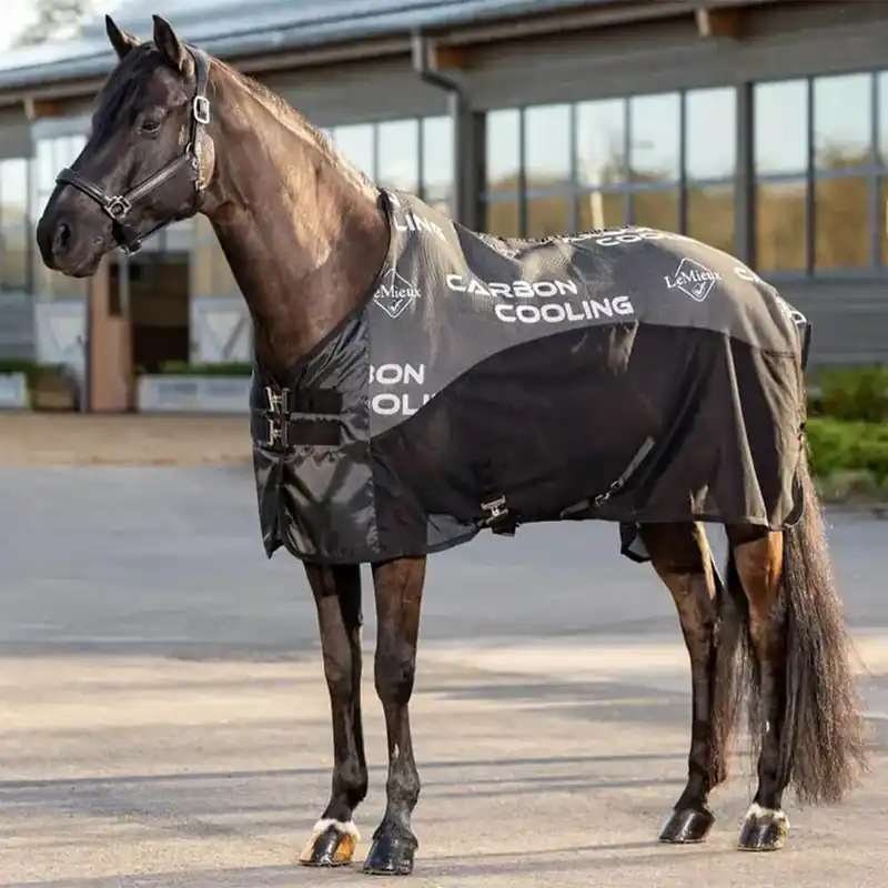 Bestseller LeMieux Carbon Cooler Rug - Black, 140