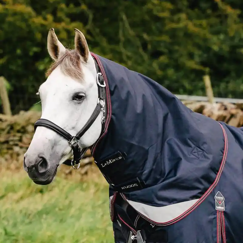 Billig LeMieux Kudos Turnout Neck Cover 200g - Navy, XL
