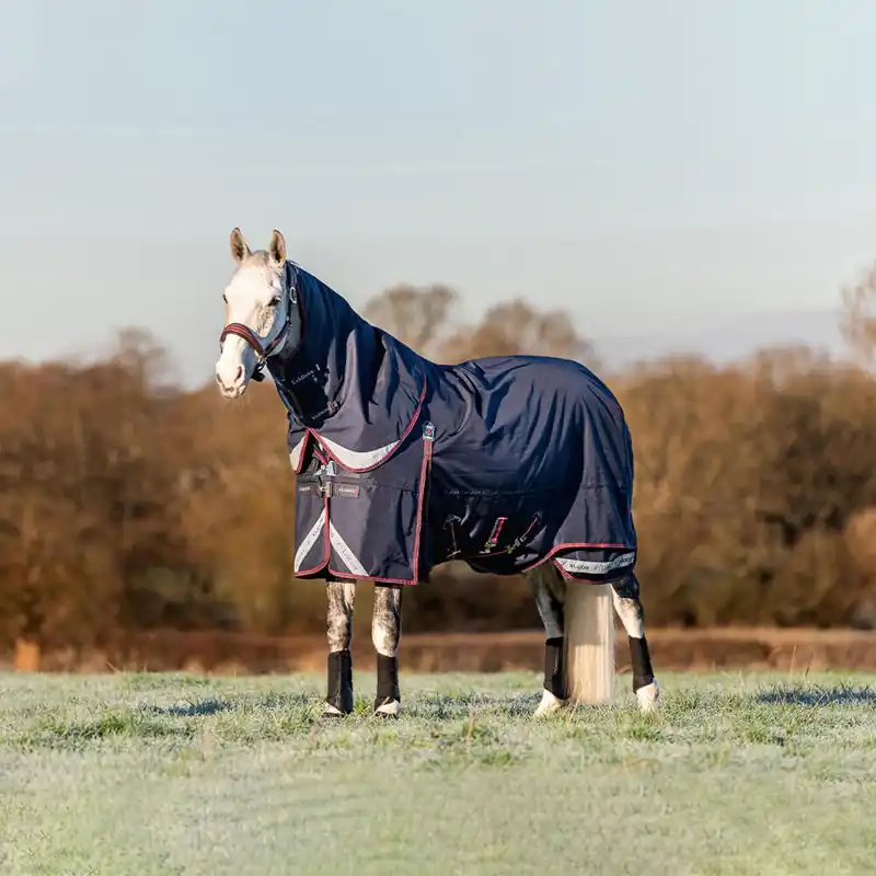 Jetzt Kaufen LeMieux Kudos Turnout Rug 100g - Navy, 170
