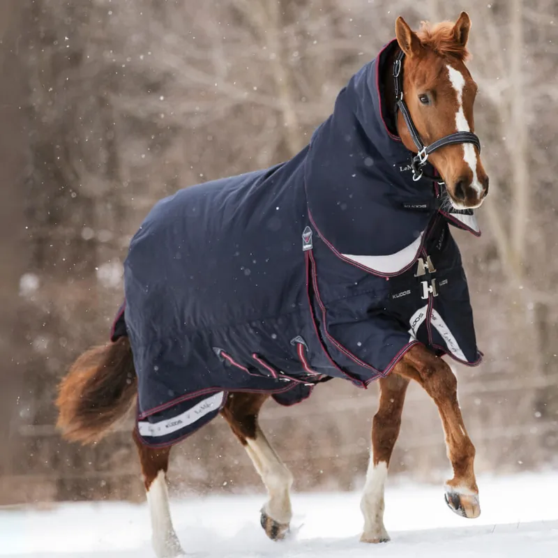 Direkt Vom Hersteller LeMieux Kudos Turnout Rug 350g inkl. abnehmb. Halsteil - Navy, 95