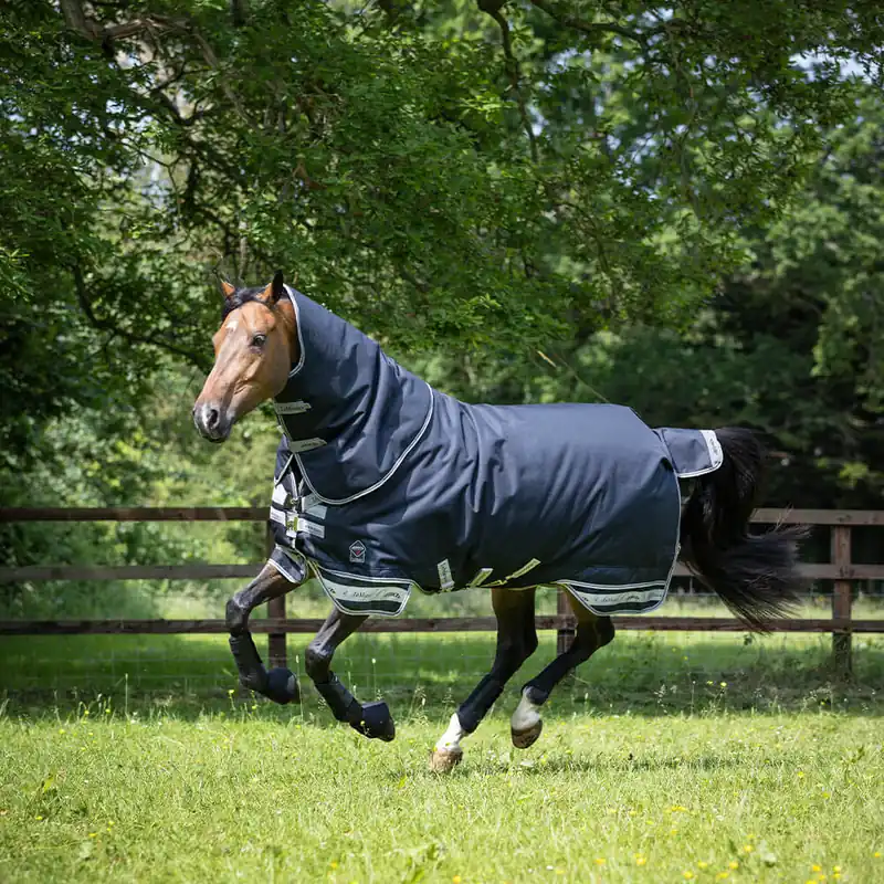 Top-Preis LeMieux Arika Storm-Tek Turnout Rug 200g inkl. abnehmb. Halsteil - Navy, 170