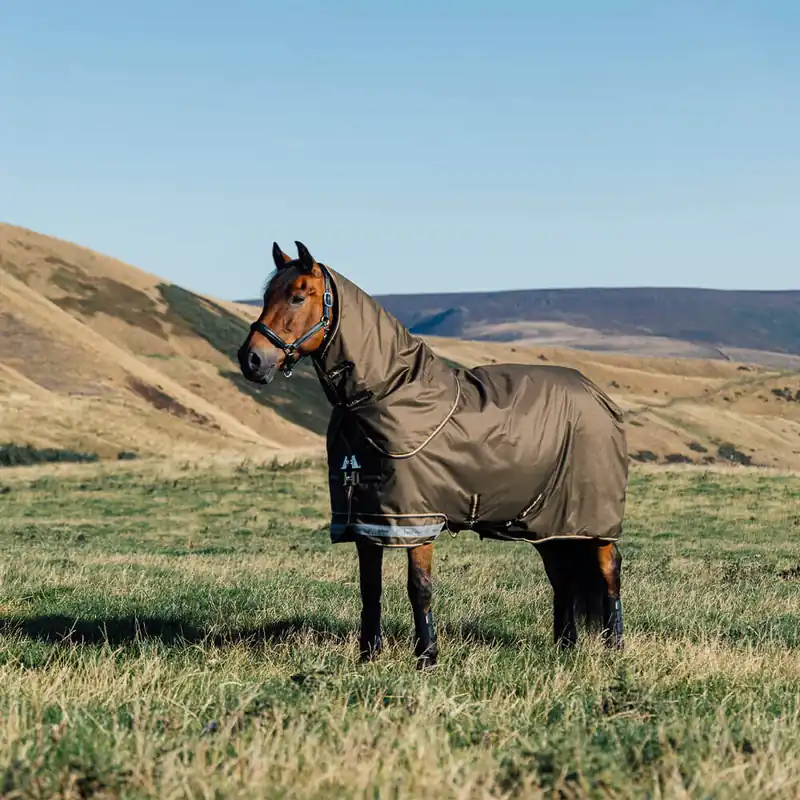 Geprüft LeMieux Arika 600D Ripstop 0g Turnout Rug inkl. abnehmb. Halsteil - Alpine, 100