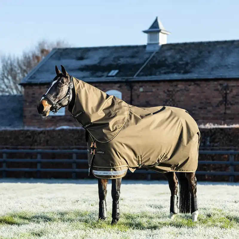 Jetzt Bestellen LeMieux Arika 600D Ripstop 200g Turnout Rug inkl. abnehmb. Halsteil - Alpine, 165
