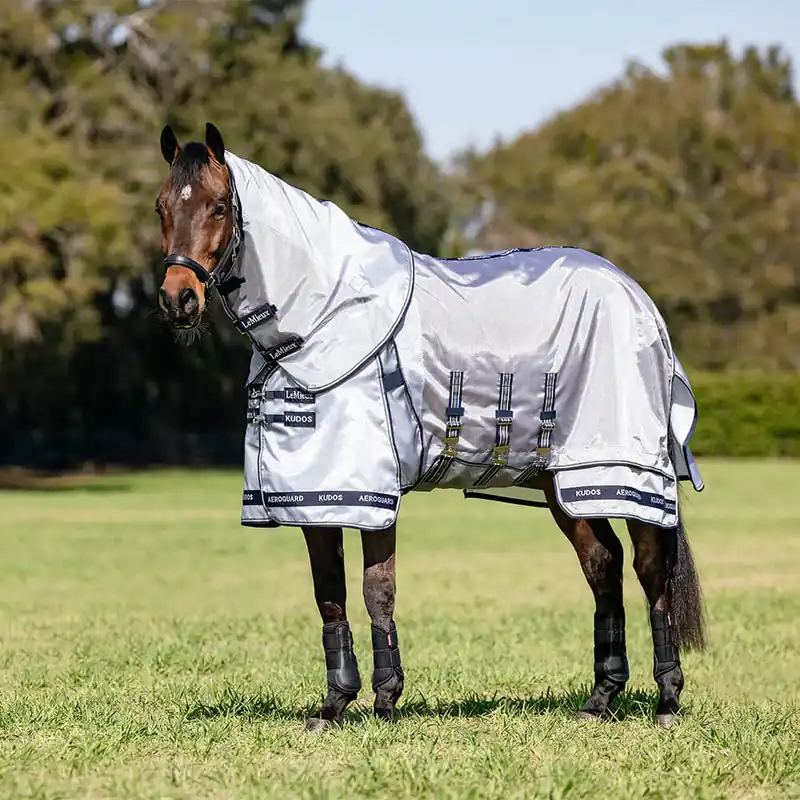 Kracherpreis LeMieux Kudos AeroGuard Fly Rug inkl. abnehmb. Halsteil - Silver, 95