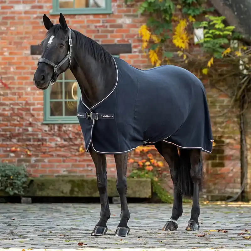 Ausverkauf LeMieux Allegro Fleece Rug - Black, 120