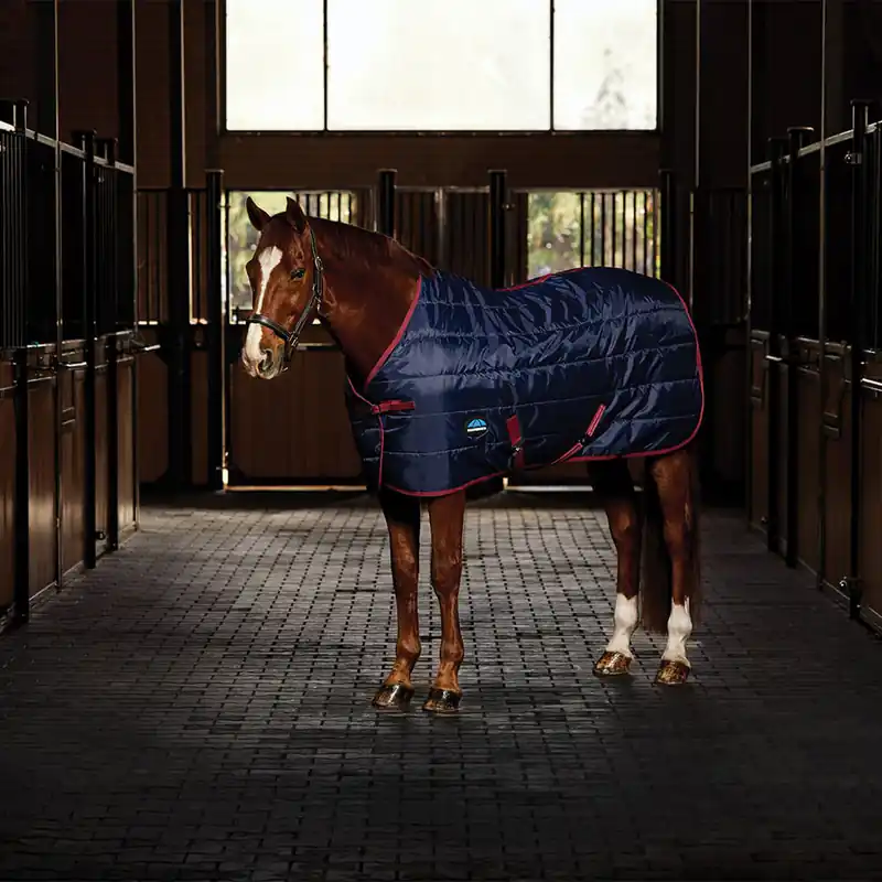 Angebot Weatherbeeta Comfitec 210D Channel Quilt Stable Standard Neck 100g - Navy/Burgundy, 85