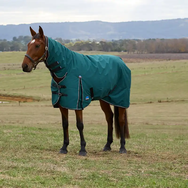 Angebot Weatherbeeta Comfitec Classic Turnout Combo 220g - Forest Green/Black, 150
