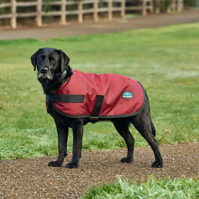 Aktuell Weatherbeeta Comfitec Classic Waterproof Dog Coat - Burgundy, 50
