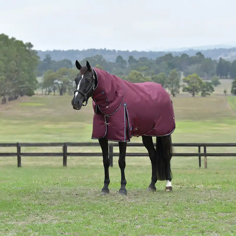 Beliebt Weatherbeeta Comfitec Essential Turnout Detach-A-Neck 50g - Burgundy/Navy, 165