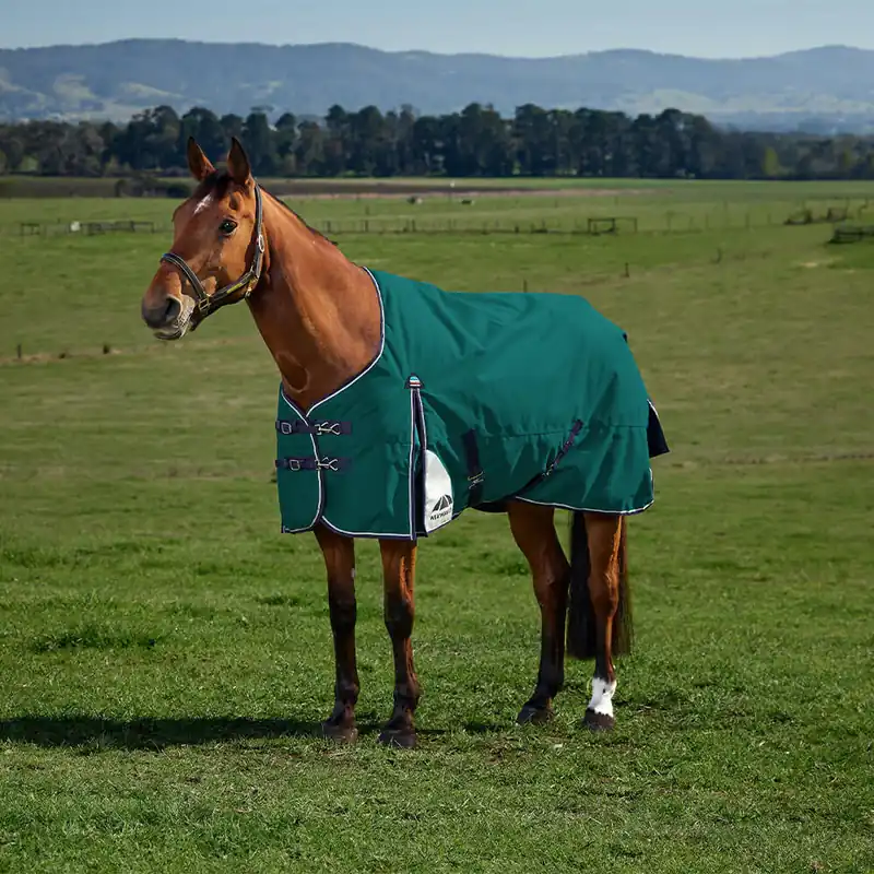 Bestpreis Weatherbeeta Comfitec Plus Dynamic Turnout 220g - Navy/Forest Green, 160